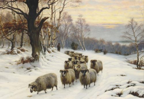 Flock of sheep on a snow covered path in the woods.