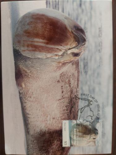 A stamp printed in Canada shows a seabass on display.