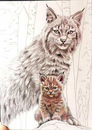 Siberian cat and kitten in the forest. Hand drawn illustration.
