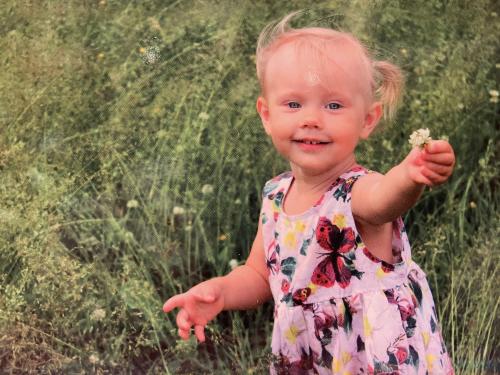 Little girl with a flower in her hand on a green meadow