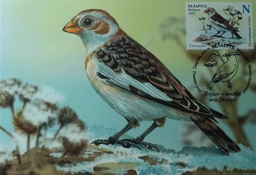 A stamp printed in Gold Coast shows a Common Chaffinch, Fringilla coelebs, circa 1999