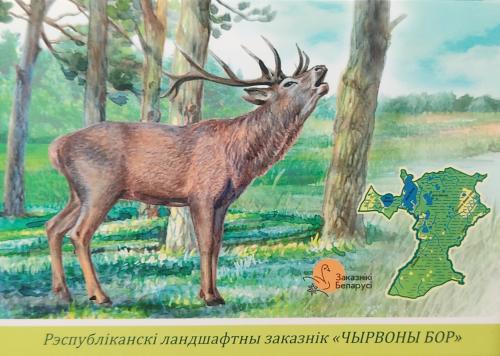 A stamp printed in Russia shows image of a deer, circa 2015