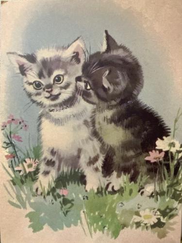 Two kittens playing together in the garden. Vintage postcard with cats.