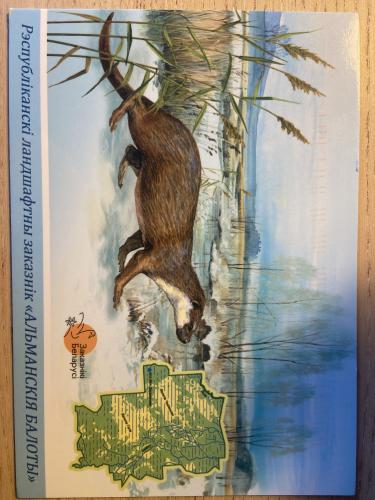 A postcard with the image of a deer.