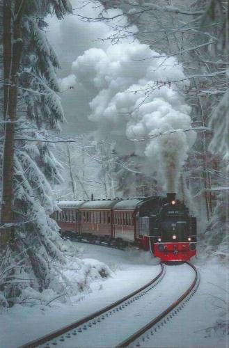 Train in the winter forest. Steam train in the forest in winter.