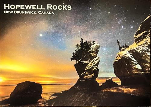 Starry sky over a rocky shore of the Pacific Ocean with a pine tree in the foreground