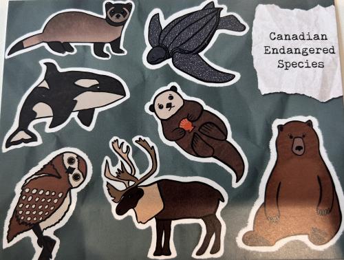 Paper applique with animals, bear, panda, bear, penguin