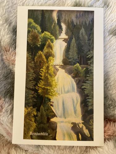 Waterfall in the forest on a background of a fur blanket.