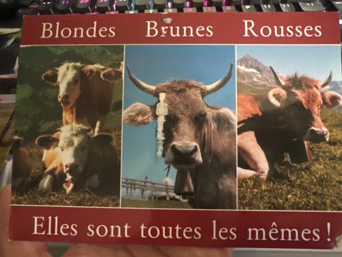 2018 10 01 queen's day exhibition of cows