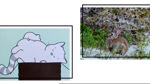 Rabbit and cat sitting on a rock in the forest. Vector illustration.