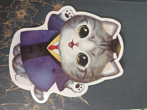 Kawaii cat in a coat and tie on a black background