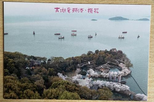 Hangzhou West Lake Scenic Area with Cherry Blossoms