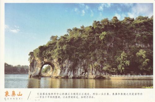 New Year's card in the Chinese calendar, in the year of the monkey.