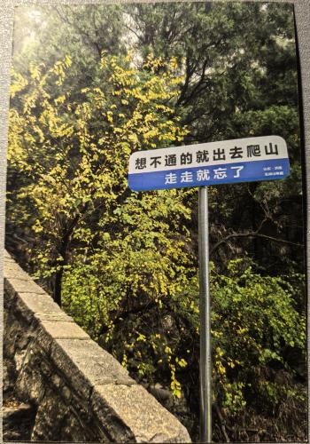 Autumn leaves in the park and the road sign in china