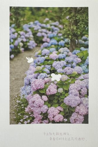 Hydrangea flowers greeting card in Japanese, New Year's card