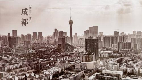 Cityscape of Shanghai, China. Black and white image of Shanghai tower.