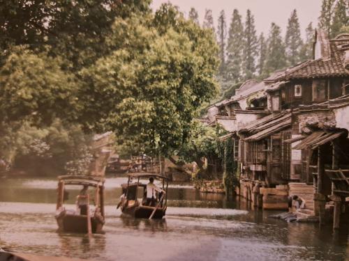 Houses on the river in Hoi An ancient town, Vietnam