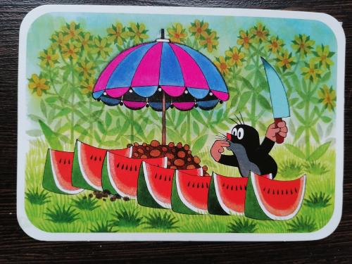 watermelon and black cat on the beach with umbrella and ice cream