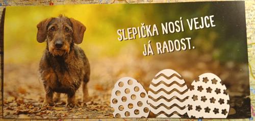 Happy Valentines Day greeting card with cute dachshund dog.