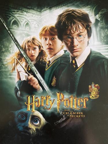 Portrait of a boy and a girl with a sword in their hands