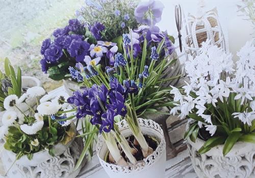 Beautiful bouquet of spring flowers in a vase on the table
