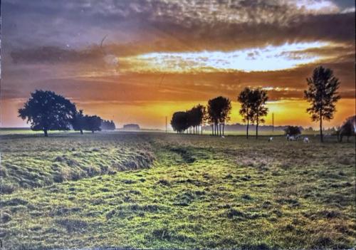 Sunset in the countryside with trees and a meadow in the foreground