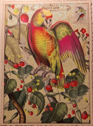 Rosy Macaw (Araucalyptus sylvatica) painting on the wall of Prague Castle.