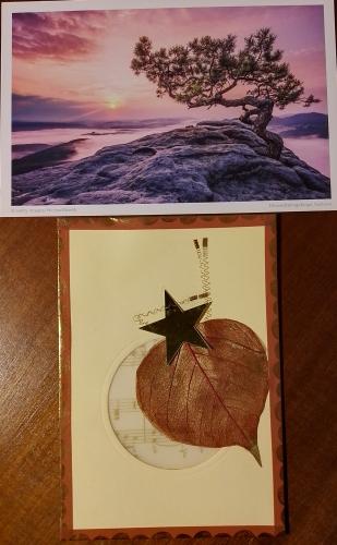 Christmas card with tree and star on the background of the sea.
