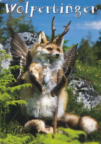 Wild foxes in the mountains. Wildlife postcard with wild animals.