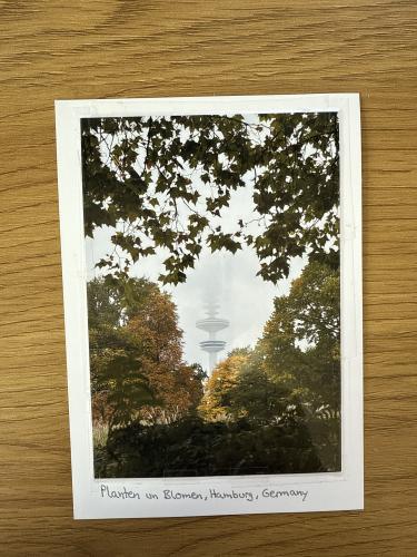 Autumn postcard on a wooden background with a tree in the foreground