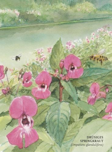 Watercolor painting of a garden with pink flowers and bees on it