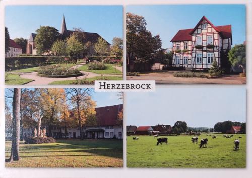 Collage with photos of houses in the city of Heidelberg, Germany
