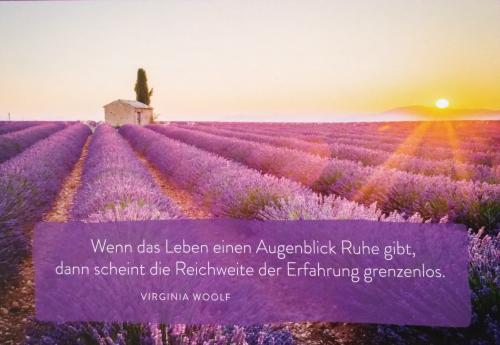 Inspirational quote on lavender field background. Inspirational motivational quote.