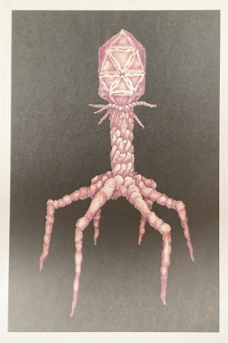 Vintage hand drawn illustration of an octopus with a crystal.