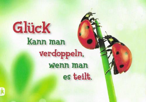 ladybug on green background with text - give me my best friend