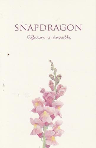 Old postcard with a branch of wildflowers. Hand-drawn illustration.