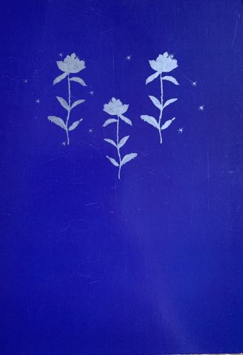 two flowers on blue background with stars and stripes, closeup of photo