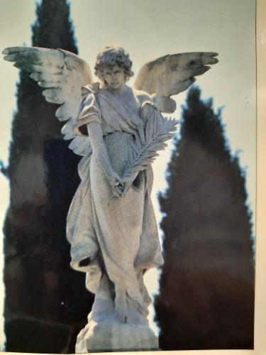 Angel statue on the window of an old church in Florence, Italy
