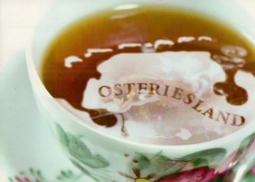 Cup of coffee with the word Osteospermum written in it