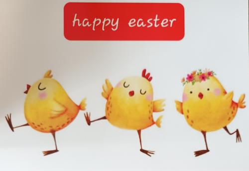 Easter card with cute chickens on white background. Happy Easter card.