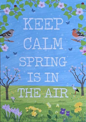 Keep calm and spring is in the air. Inspirational quote with birds and flowers.