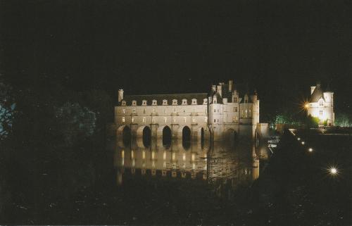 Castle of Bordeaux at night, France. Original painting