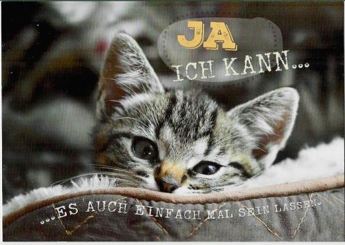 Cute little kitten sleeping on a pillow with the inscription: Just take it easy