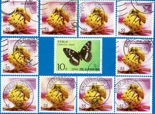 Postage stamps printed in the Netherlands with image of a butterfly.
