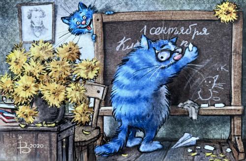 blue cat sitting on a chair in front of a chalkboard with flowers