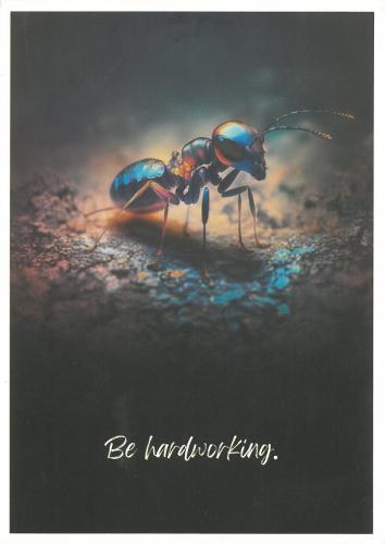 USSR - CIRCA 1980s: Postcard printed in USSR shows image of Ant, circa 1980s