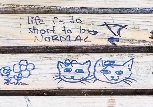 Wooden stairs with hand-painted cats and inscriptions in Russian.