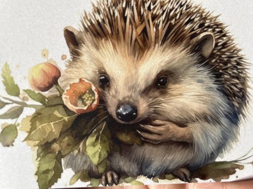 Hedgehog with flowers on a white background. Digital painting.