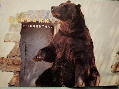 A black bear sitting in front of a sign with the text: Take a break