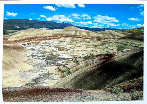 Petrified Forest National Park, Oregon, United States of America